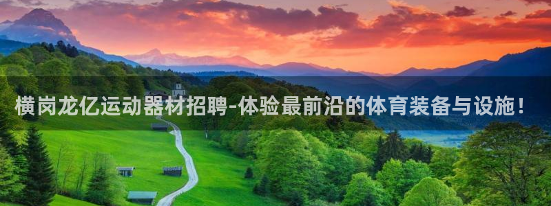 678体育官方正版app集团：横岗龙亿运动器材招聘-体验最前