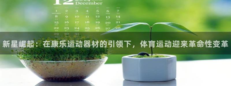 海南678体育官网下载发展怎么样：新星崛起：在康乐运动器材的