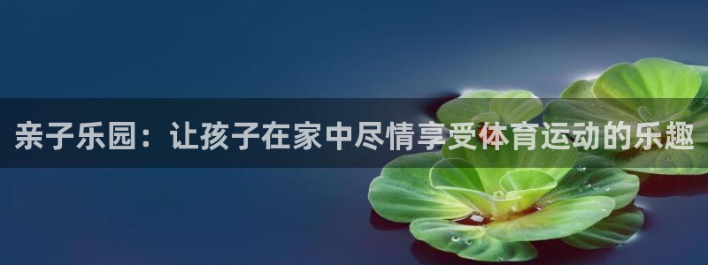 678体育官网下载招商电话号码查询：亲子乐园：让孩子在家中尽