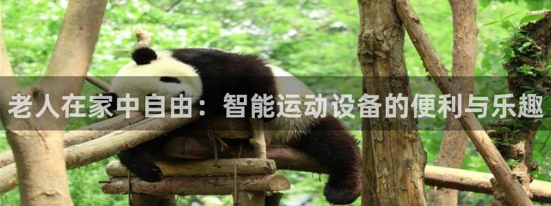 678体育官网下载开户：老人在家中自由：智能运动设备