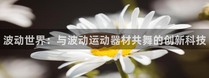 678体育官网下载招商电话号码是多少号