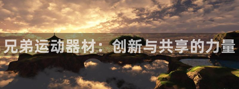 678体育官网下载：兄弟运动器材：创新与共享的力量