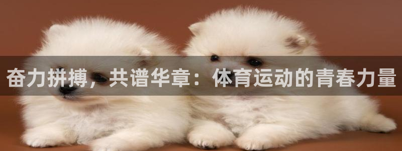 米兰体育靠谱吗：奋力拼搏，共谱华章：体育运动的青春力量