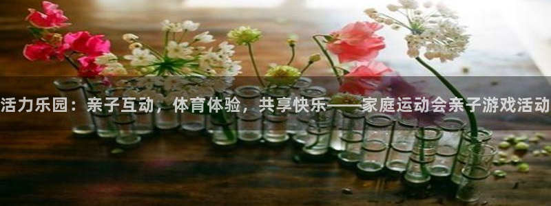 米兰体育最新版下载：活力乐园：亲子互动，体育体验，共享快乐——家庭运动会亲子游戏活动