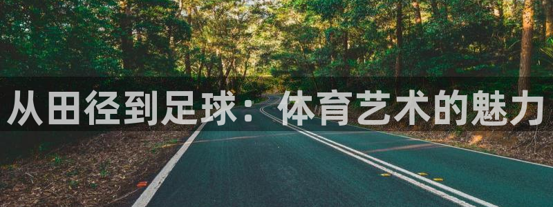米兰体育app：从田径到足球：体育艺术的魅力