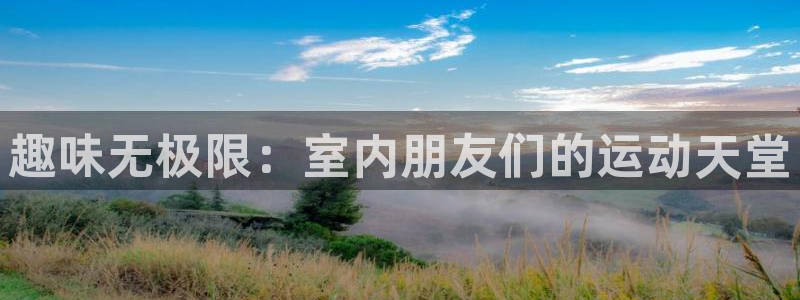 678体育官网下载招商：趣味无极限：室内朋友们的运动天堂